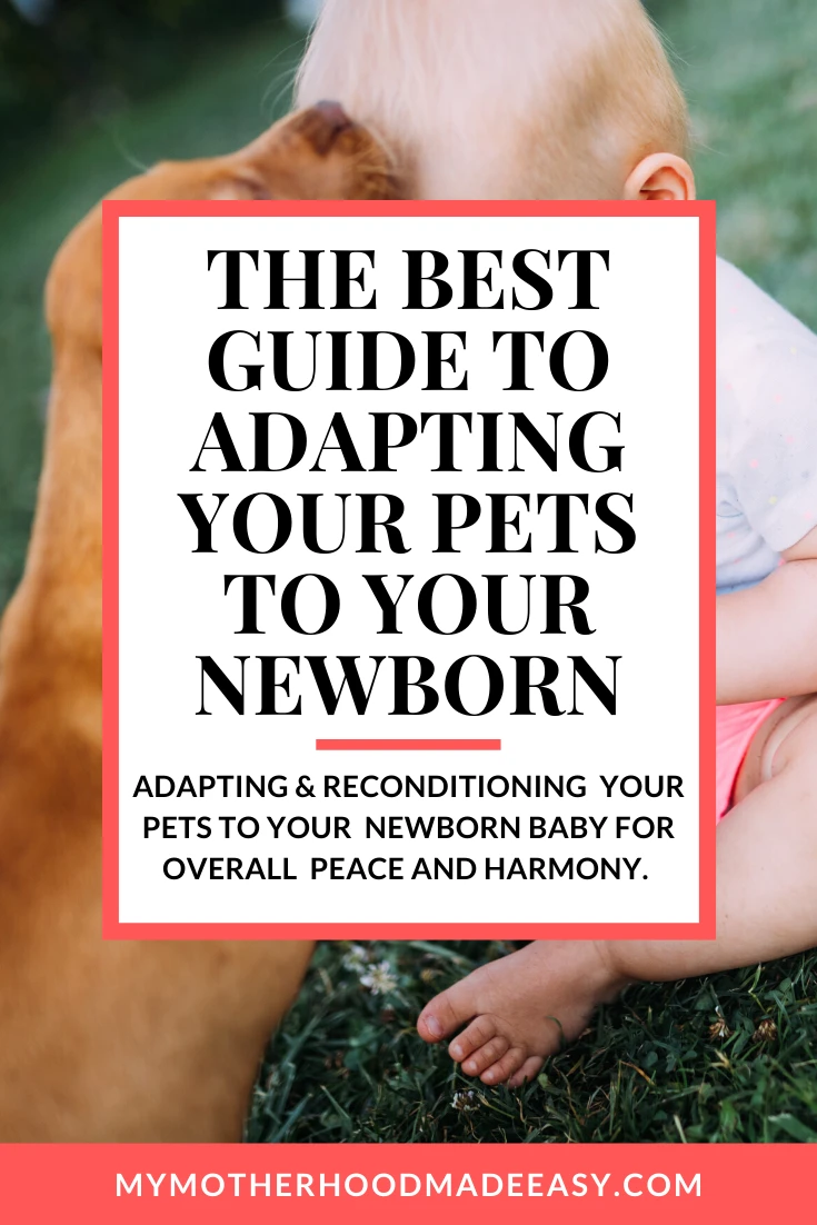 Best Guide To Adapting Your Pets To Your Newborn (Pets and Infants)