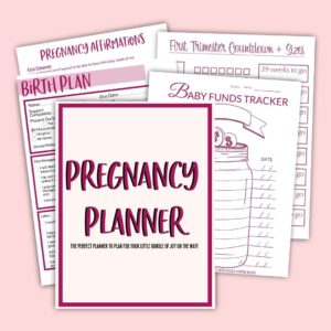Pink Pregnancy Planner