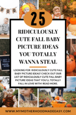25 Ridiculously Cute Fall Baby Picture Ideas My Motherhood Made Easy