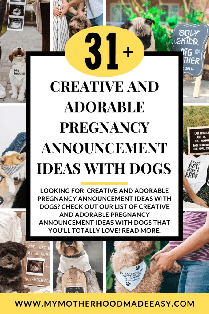 31+ Creative and Adorable Pregnancy Announcement Ideas With Dogs
