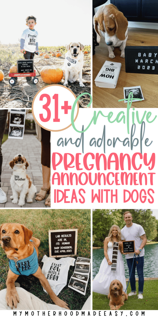 Adorable Pregnancy Announcement Ideas With Dogs