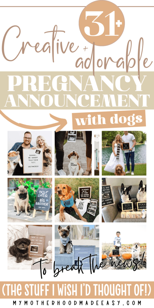 Creative and Adorable Dog Pregnancy Announcement Ideas