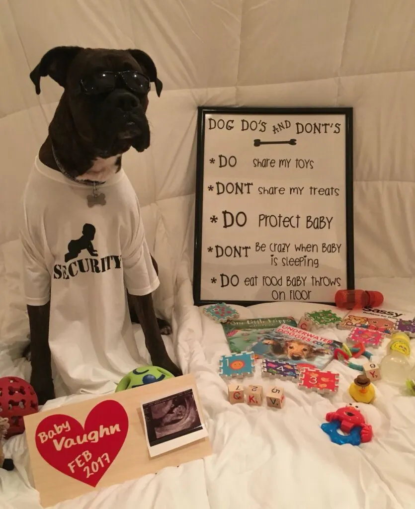 Dog Dos and Don'ts Pregnancy Announcement Idea
