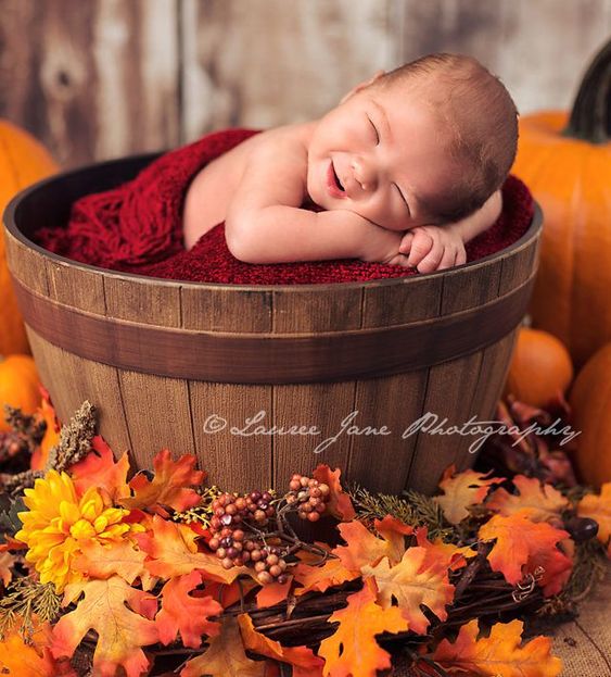 fall baby pictures newborn