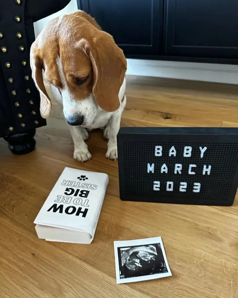 Pregnancy announcement ideas with Dogs