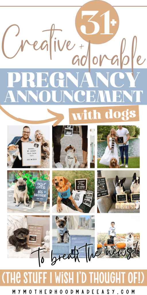 creative + adorable pregnancy announcement ideas with dogs