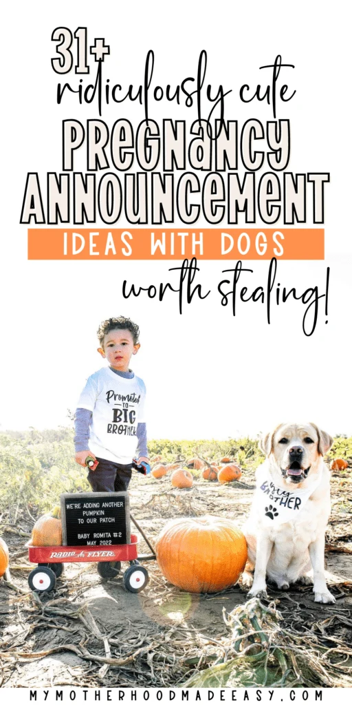 fall baby announcement ideas with dog