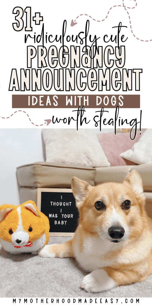 Looking for Creative and Adorable Pregnancy Announcement Ideas With Dogs? Check out our list of Creative and Adorable Dog Pregnancy Announcement Ideas that you'll totally Love! Read more. #pregnancyannouncement #pregnancyannouncementideas #preggers #babyannouncement #babyreveal #pregnancyreveal