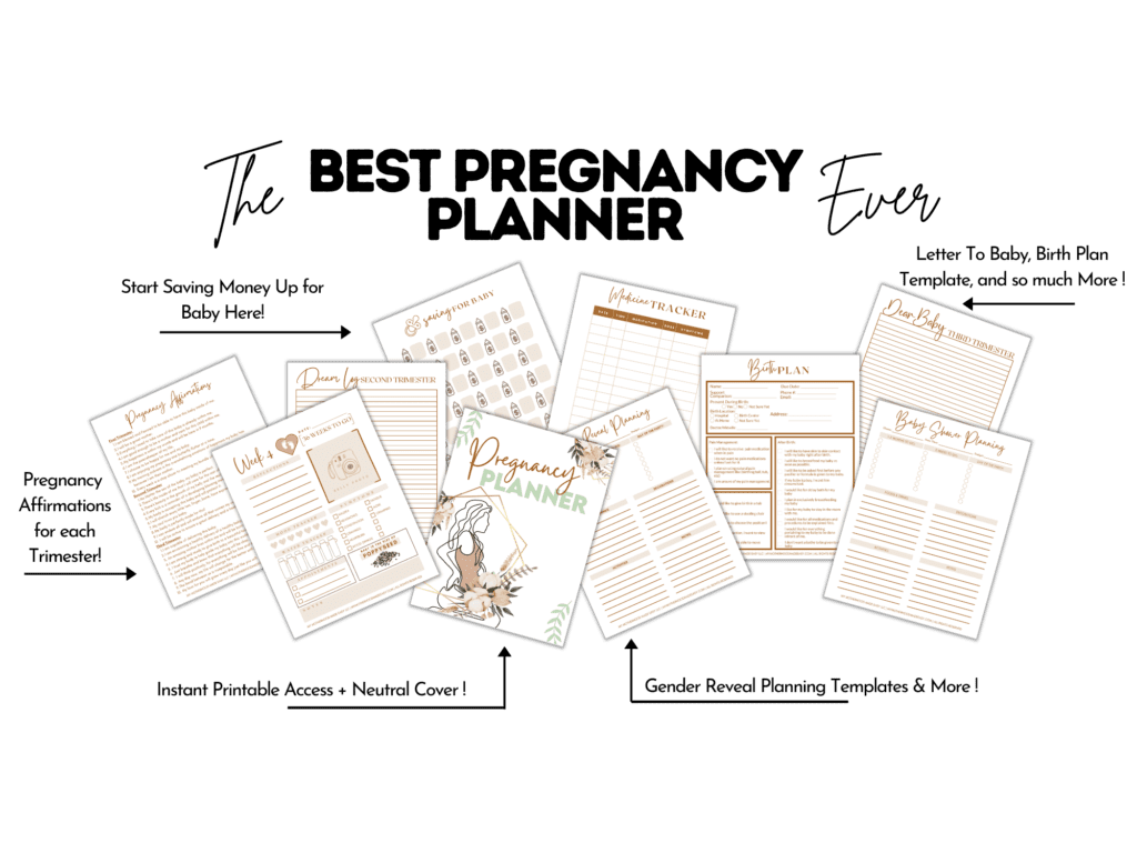 pregnancy planner
