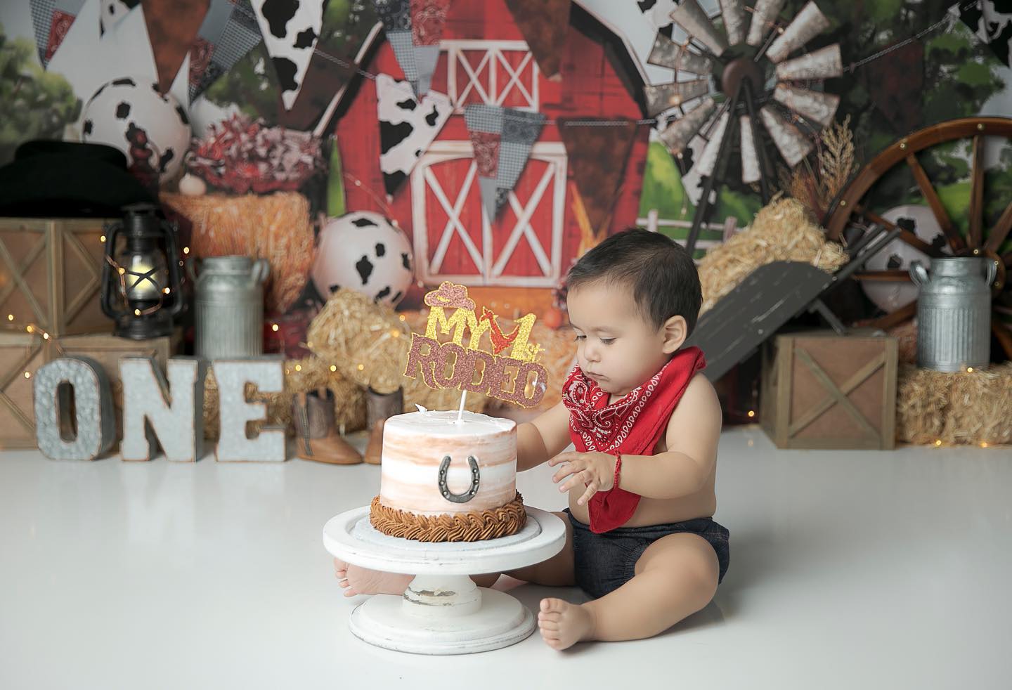 15-cute-first-birthday-photoshoot-ideas-for-boys-creative-unique
